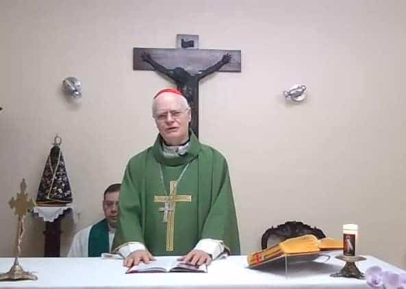 Dom Odilo: ‘A verdade é um fogo que chama a purificação, a conversão e a mudança’ - Jornal O São Paulo