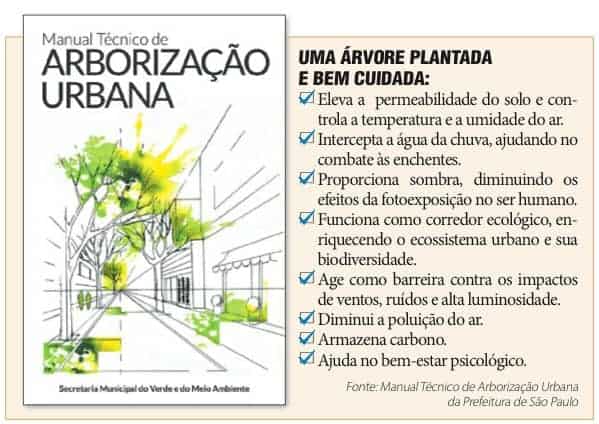 Em cada árvore, muitas vidas beneficiadas - Jornal O São Paulo