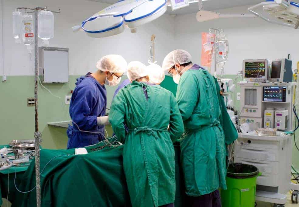 Pandemia impacta os transplantes de órgãos e doações de medula óssea - Jornal O São Paulo