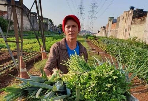 dia mundial pobre cidade sem fome
