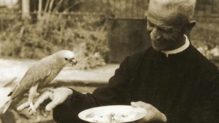 Brasileiros Isabel e Roberto estão a caminho dos altares - Jornal O São Paulo