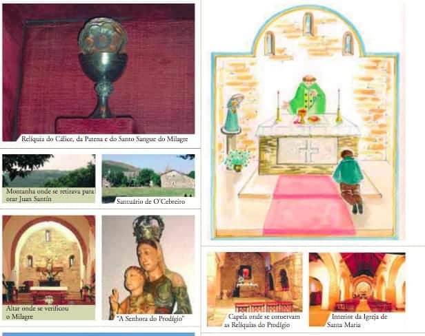 Pela internet, Carlo Acutis deu evidência a muitos milagres eucarísticos - Jornal O São Paulo