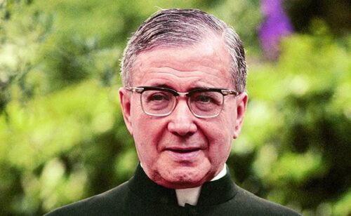 cee k crop  art feat