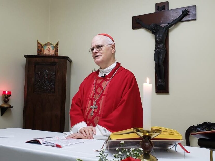 ‘Devemos fazer brilhar a luz do testemunho da fé’ - Jornal O São Paulo