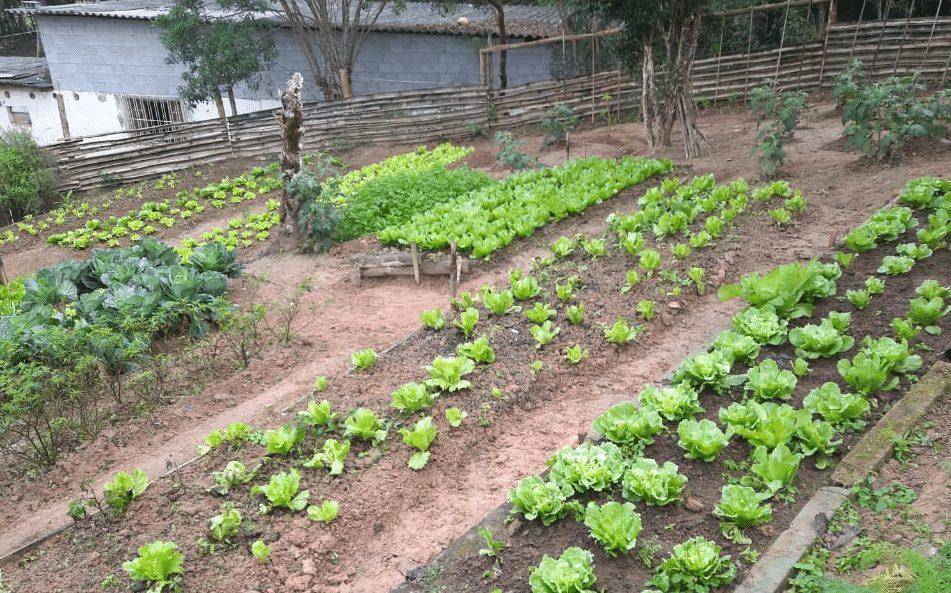 Fazenda da Esperança: há 38 anos, uma obra de amor e solidariedade - Jornal O São Paulo