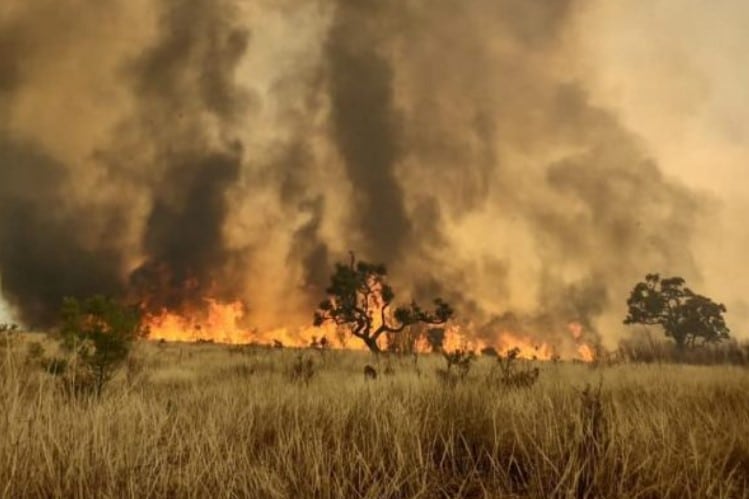 Incêndio atinge parque estadual na região metropolitana de SP - Jornal O São Paulo