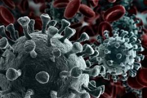 COVID-19: variante Delta gera incertezas sobre o avanço da pandemia - Jornal O São Paulo