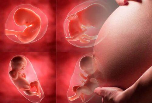 Bispos reconhecem que existe uma situação de discriminação e violência contras as mulheres Crédito Conferência Episcopal Mexicana