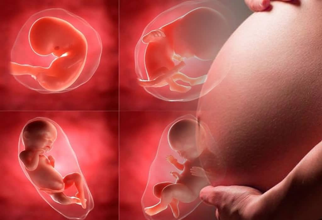 Igreja no México condena mudança legal que descriminaliza o aborto - Jornal O São Paulo