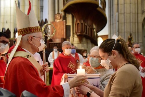 sinodo igreja etapa arquidiocesana