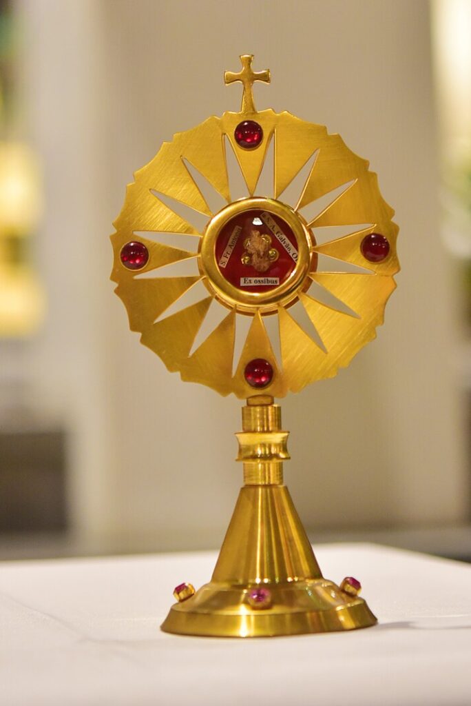 Abertas as comemorações do bicentenário da morte de Frei Galvão - Jornal O São Paulo