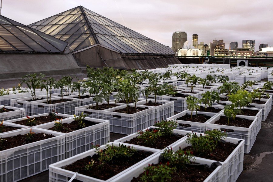 Você conhece estes lugares de São Paulo?