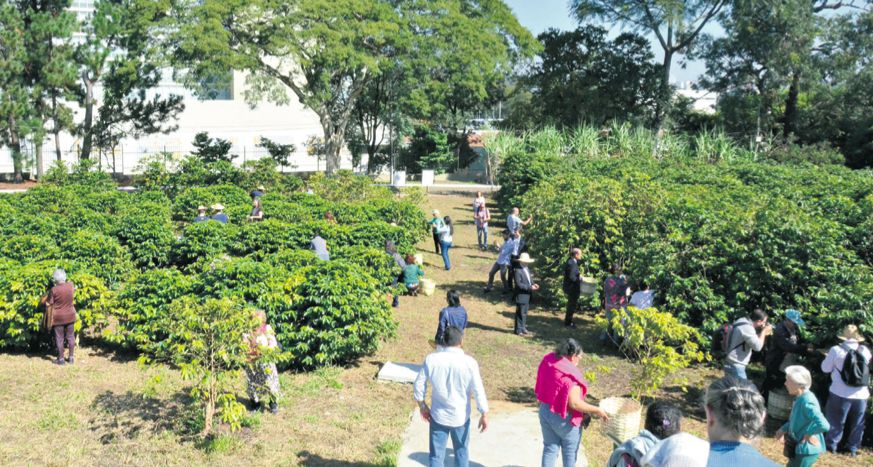 Você conhece estes lugares de São Paulo?