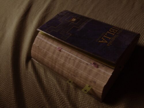 O que fazer com a Bíblia em estado deteriorado? - Jornal O São Paulo