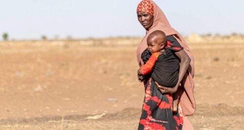 89,3 milhões de pessoas se deslocam em razão de guerras, violência, perseguições e abusos de direitos - Jornal O São Paulo