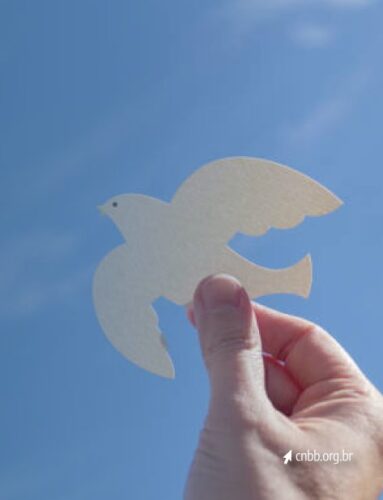 CNBB republica mensagem de clamor pela paz diante de novos atos violentos - Jornal O São Paulo