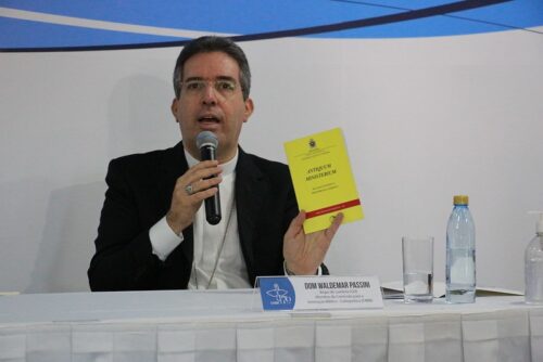 Bispos brasileiros definem caminho formativo para o Ministério dos Catequistas - Jornal O São Paulo