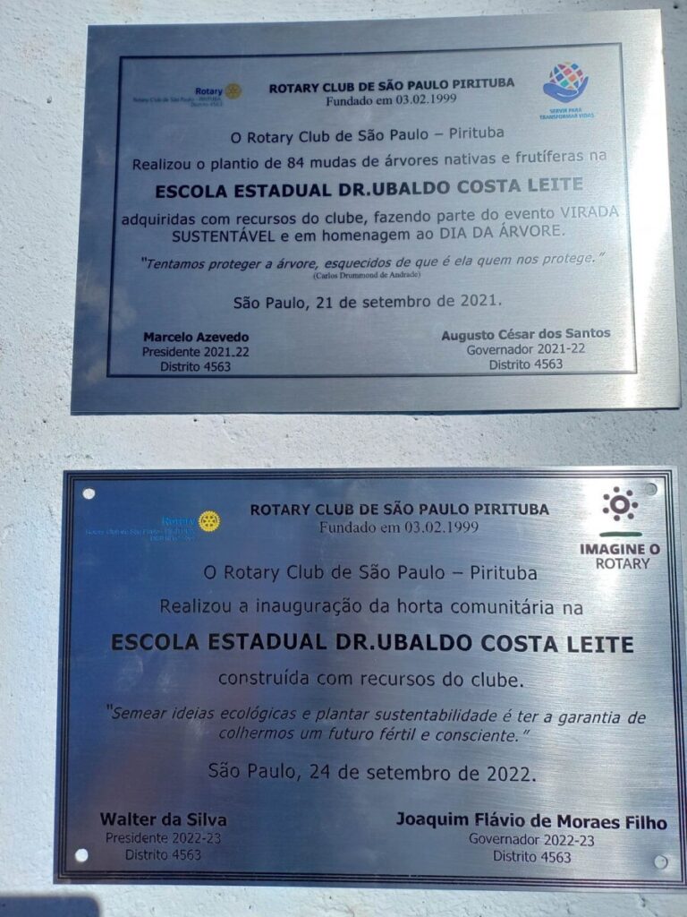 Comunidade se mobiliza por melhorias ambientais na Vila Brasilândia - Jornal O São Paulo