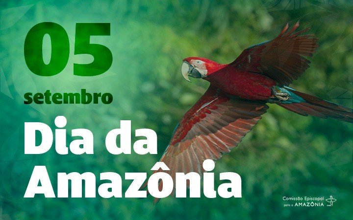 Presidentes da Comissão para a Amazônia da CNBB e da REPAM-Brasil pedem uma política ‘para o bem comum na Amazônia’ - Jornal O São Paulo