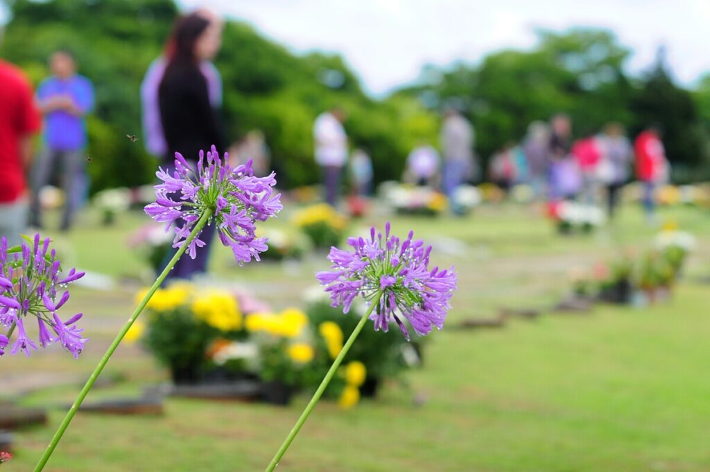 No ‘Dia de Finados’, católicos testemunham a fé na vida eterna e rezam por seus falecidos - Jornal O São Paulo