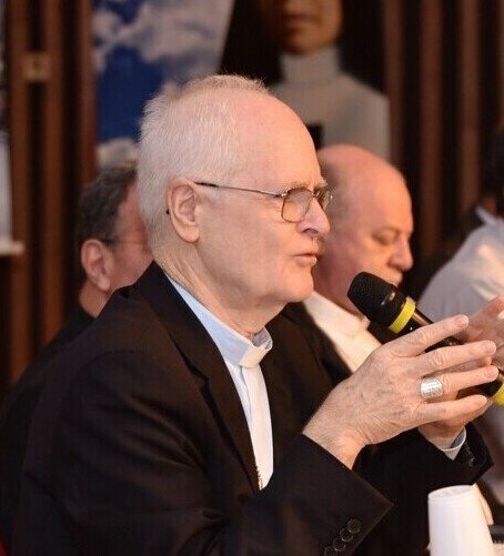 Caminho pós-sinodal: ‘O Espírito Santo há de nos assistir nos próximos passos’ - Jornal O São Paulo