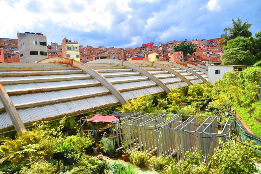 Paraisópolis é sinônimo de empreendedorismo e transformação social - Jornal O São Paulo