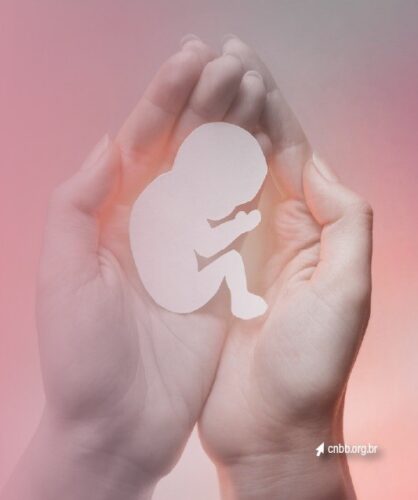 CNBB divulga nota em que reprova iniciativa do Governo Federal de flexibilização do aborto - Jornal O São Paulo