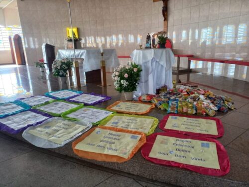 Pastoral da Saúde realiza encontro de Formação do Sub Regional SP - Jornal O São Paulo