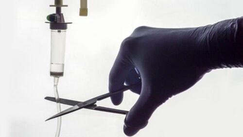 A eutanásia e os efeitos da ‘cultura da morte’ - Jornal O São Paulo