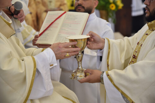 Vocação sacerdotal e sinodalidade - Jornal O São Paulo