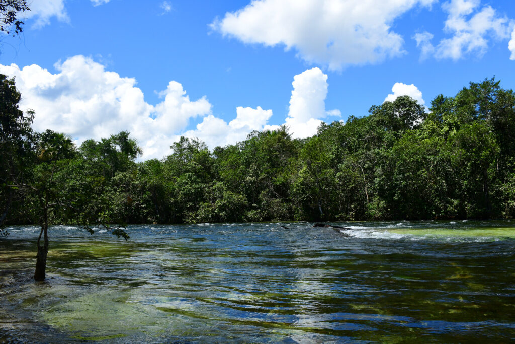 Luciney Martins/O SÃO PAULO