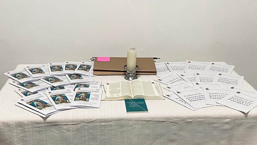 Grupos de trabalho pós-sinodais recebem orientações para elaborar 12 projetos relativos à vida pastoral da Arquidiocese - Jornal O São Paulo