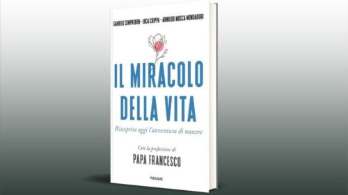 Papa: ouçamos a voz dos nascituros por meio da ciência - Jornal O São Paulo