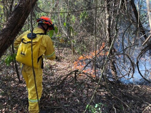 Soltura de balão agrava risco de incêndios florestais durante período de seca - Jornal O São Paulo