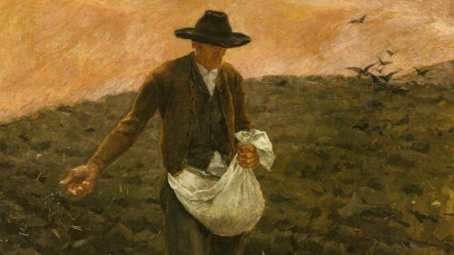 Fomos feitos para ser espiritualmente fecundos - Jornal O São Paulo