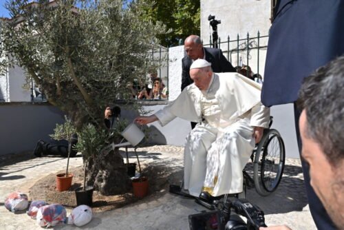 Papa: estou escrevendo uma 2ª parte da ‘Laudato si’ para atualizar questões - Jornal O São Paulo
