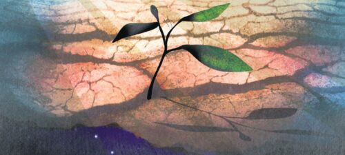 A contribuição monástica para o enfrentamento dos desafios sociopolíticos - Jornal O São Paulo