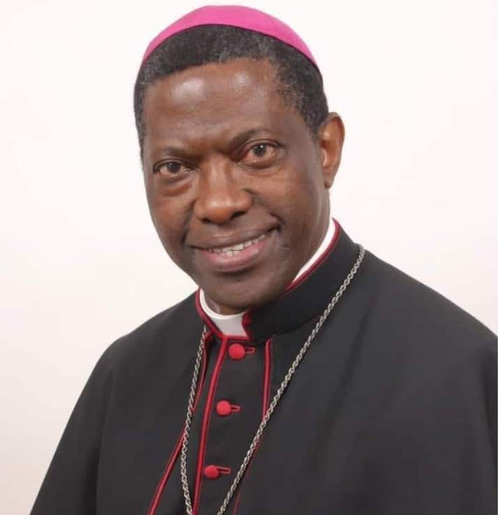 Quem são os 21 novos cardeais da Igreja? - Jornal O São Paulo