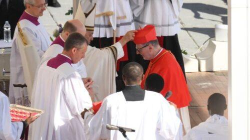 Papa aos novos cardeais: sejam evangelizadores e não funcionários - Jornal O São Paulo
