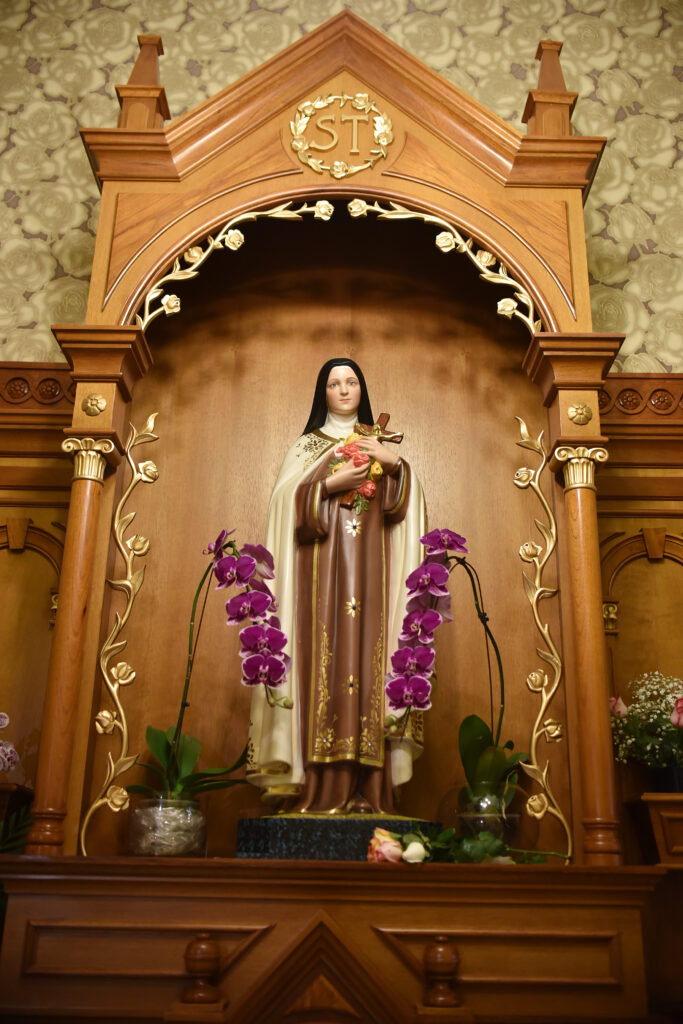 Santa Teresinha ‘está mais viva do que nunca no meio da Igreja em caminho’ - Jornal O São Paulo