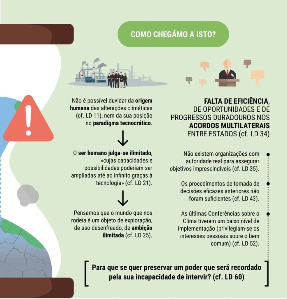 Laudate Deum: uma exortação que conscientiza e propõe ações concretas - Jornal O São Paulo