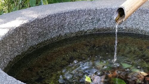 Beber água na origem - Jornal O São Paulo