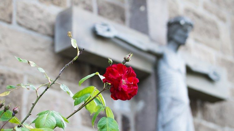 Promulgados Decretos relativos a 8 novos Beatos e 3 novos Veneráveis - Jornal O São Paulo