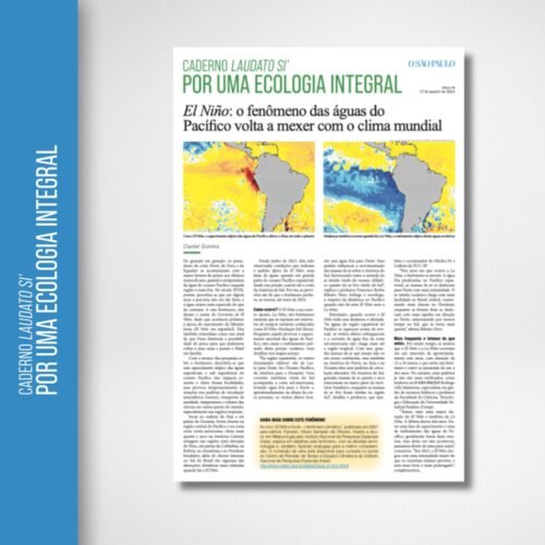 El Niño: o que ainda esperar dos impactos deste fenômeno climático? - Jornal O São Paulo