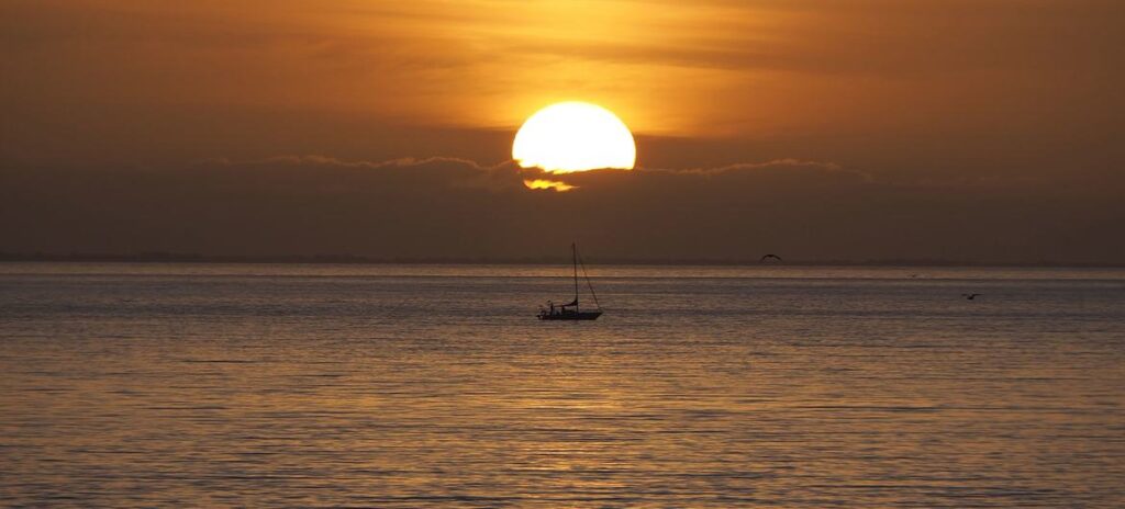 ONU: Ano mais quente da história é “antevisão do futuro catastrófico” - Jornal O São Paulo