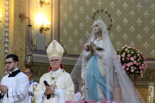 Cardeal Scherer: ‘Cuidemos de quem está doente com toda a caridade e paciência’ - Jornal O São Paulo