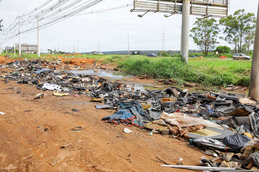 Dengue: clima, água parada e falhas do poder público causaram explosão de casos - Jornal O São Paulo