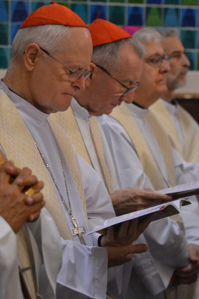 ‘A identidade e a missão da Igreja não é outra que evangelizar, ser sacramento de salvação do mundo’ - Jornal O São Paulo