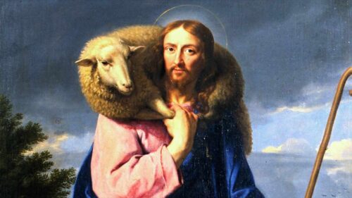 ‘O Bom Pastor dá a vida’ - Jornal O São Paulo