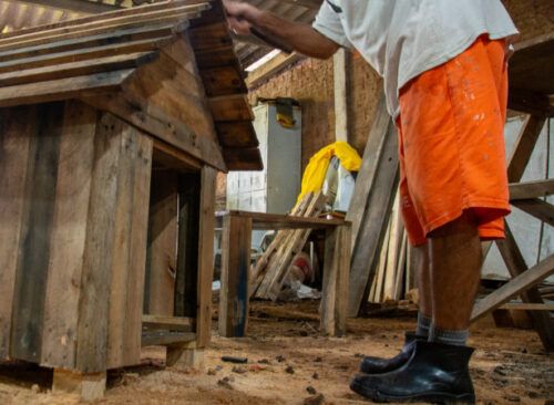Apenados da Penitenciária de Canoas I produzem casinhas para animais atingidos pelas chuvas - Jornal O São Paulo